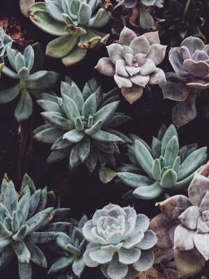 奇优影院手机端界面适配效果，竖屏模式下剧集列表清晰，操作按钮适配触控尺寸